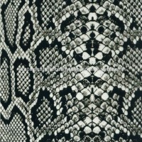 Animal Pattern Hydrographic Films Water Transfer Printing Film Black Snake Skin Pattern